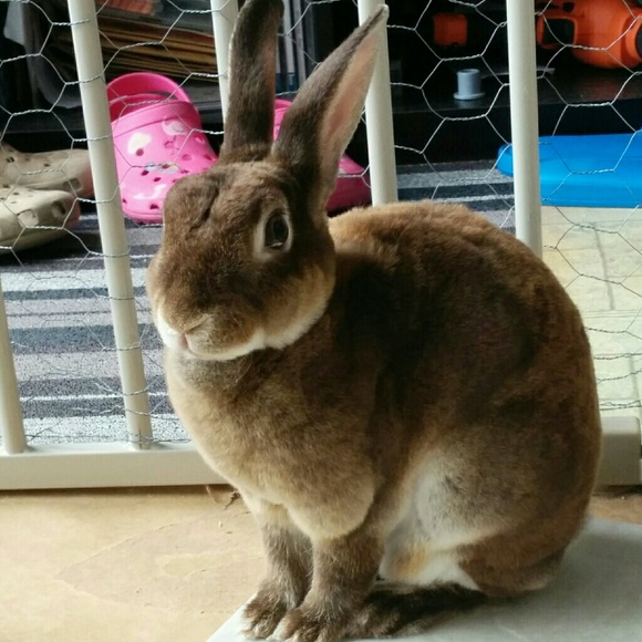 Meet your Posher, Kazumi - Picture 1 of 1